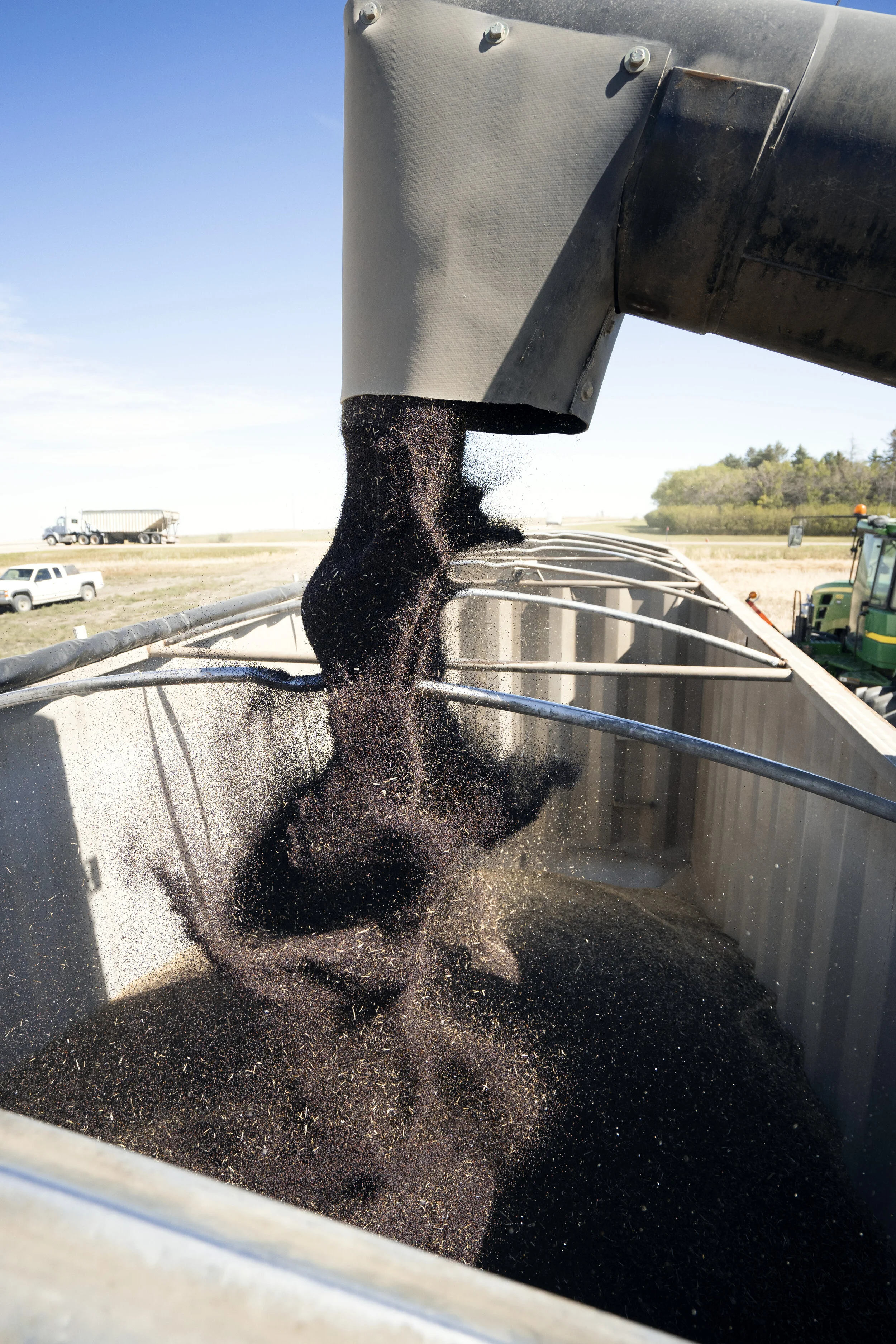 Canola production photography for Cargill by Studio D in Saskatchewan