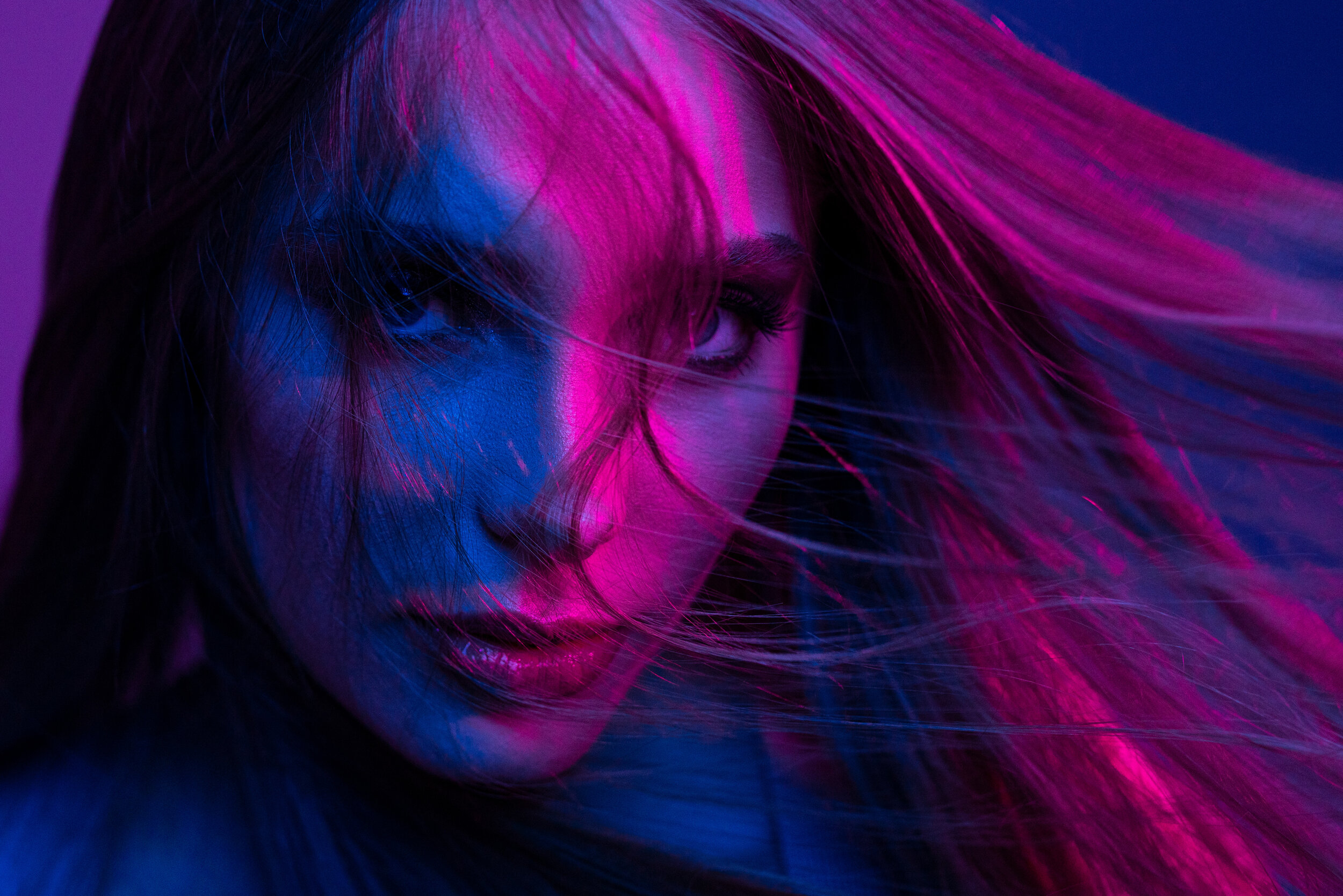 Colour Theory — Studio D Saskatoon