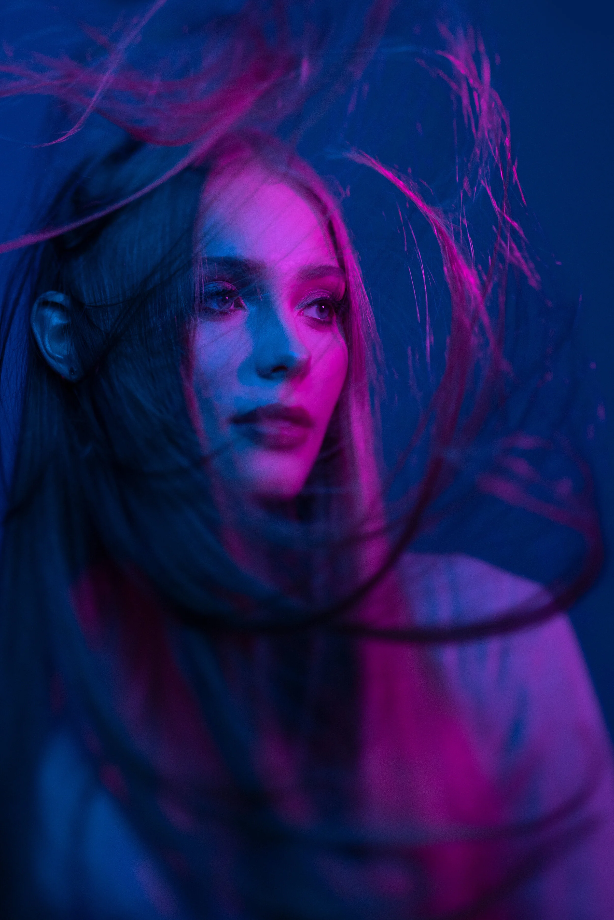 Colour Theory — Studio D Saskatoon